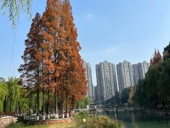 -温江公园