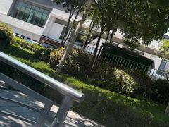 -双合园·海鲜水饺青岛菜(九水东路店)