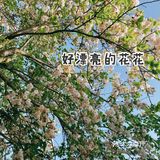 🌸“我不喜欢花，我只喜欢你抱着花朝我走过来的样子”