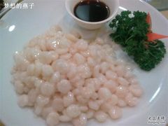 清炒虾仁-新恬乐大酒家(沧达大厦店)