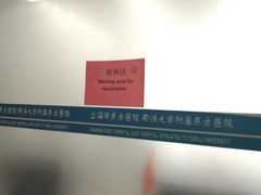 -上海市东方医院(总院)