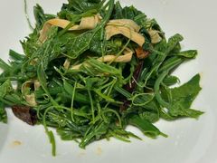 -杨氏青龙虾·羊蝎子(托乐嘉店)