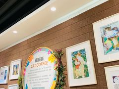 -藏猫猫咖啡主题馆(中央大道店)