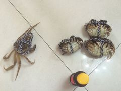 -喜洋洋蟹庄(阳澄湖店)