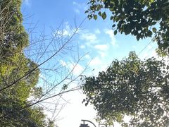 -杭州半山国家森林公园