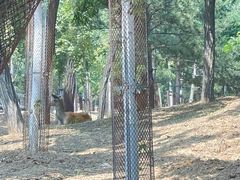 -秦皇岛野生动物园