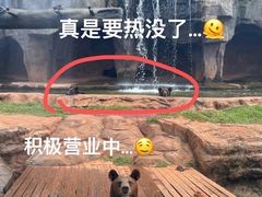 -海南热带野生动植物园