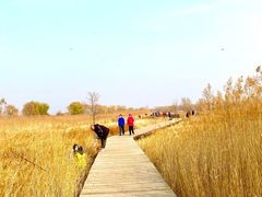 -野鸭湖国家湿地公园