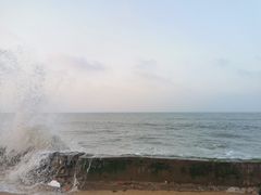 -白沙门生态公园