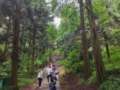 -罗田薄刀峰风景区