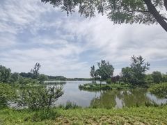 -东郊湿地公园