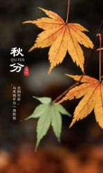 -雅曼妮spa美容养生