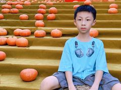 -灵玲国际马戏城