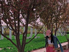 -北京热带雨林风情园酒店-停车场