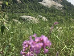 -海窝子古镇