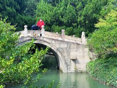 -上海醉白池公园