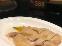 高汤冷水麻油鸡-炳胜品味(海印总店)