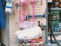 -清平路水族市场