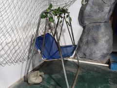 -嘉兴海底世界