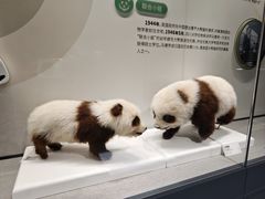 -四川大学博物馆