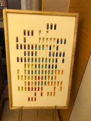 -彩虹之门健康管理