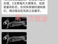 -严国平动物医院(德政总院)