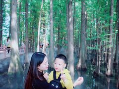 -东湖落雁景区