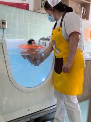 -贝美月子中心(半坡店)