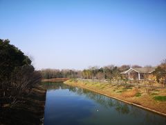 -上海海湾国家森林公园