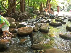 -共青国家森林公园-售票处