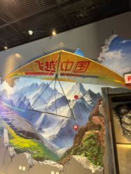 -飞览天下沉浸式飞行体验(北京旗舰店)