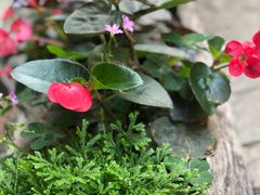 -驿舍·民國老营房院子私房菜(科学会堂店)