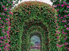 -广州市石门国家森林公园