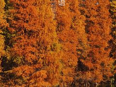 -中国科学院华南植物园