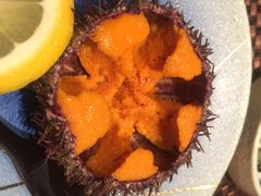 -泉寿司(万科公园店)