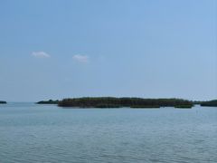 -苏州太湖湖滨国家湿地公园