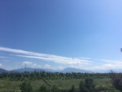 -洨河生态公园