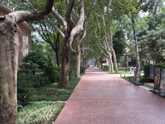 -西安电影制片厂