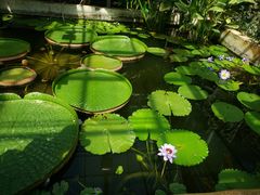 -国家植物园南园