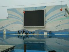 -北戴河圣蓝海洋公园