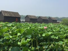 -太湖湾开元名庭大酒店