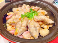 活鳗鱼-莆田餐厅PUTIEN(万象天地店)