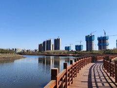 -蒲河岛湿地公园