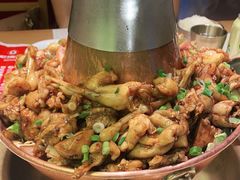 -老佛爷炭火蛙锅直营(清滨路总店)