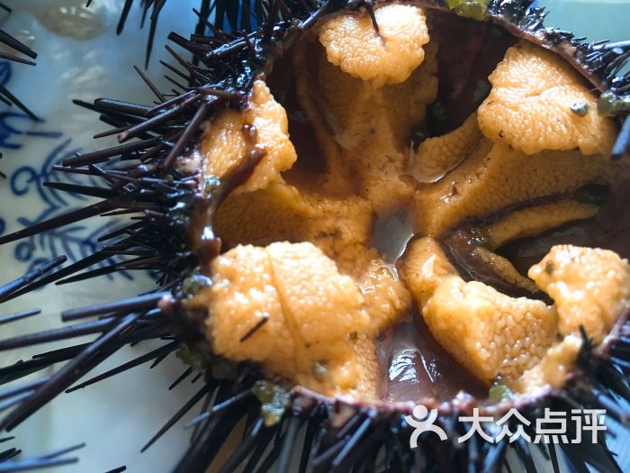 三胖海味馆-图片-大连美食-大众点评网