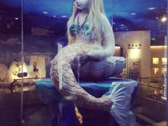 iphone_upload_pic-成都泰迪熊博物馆