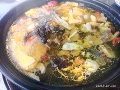 -蘑统田下·野生菌火锅