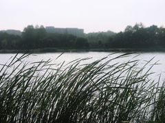 -钟山体育运动公园