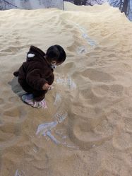 -恐龙探索乐园(磁器口店)