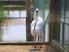 -盐城丹顶鹤湿地生态旅游区